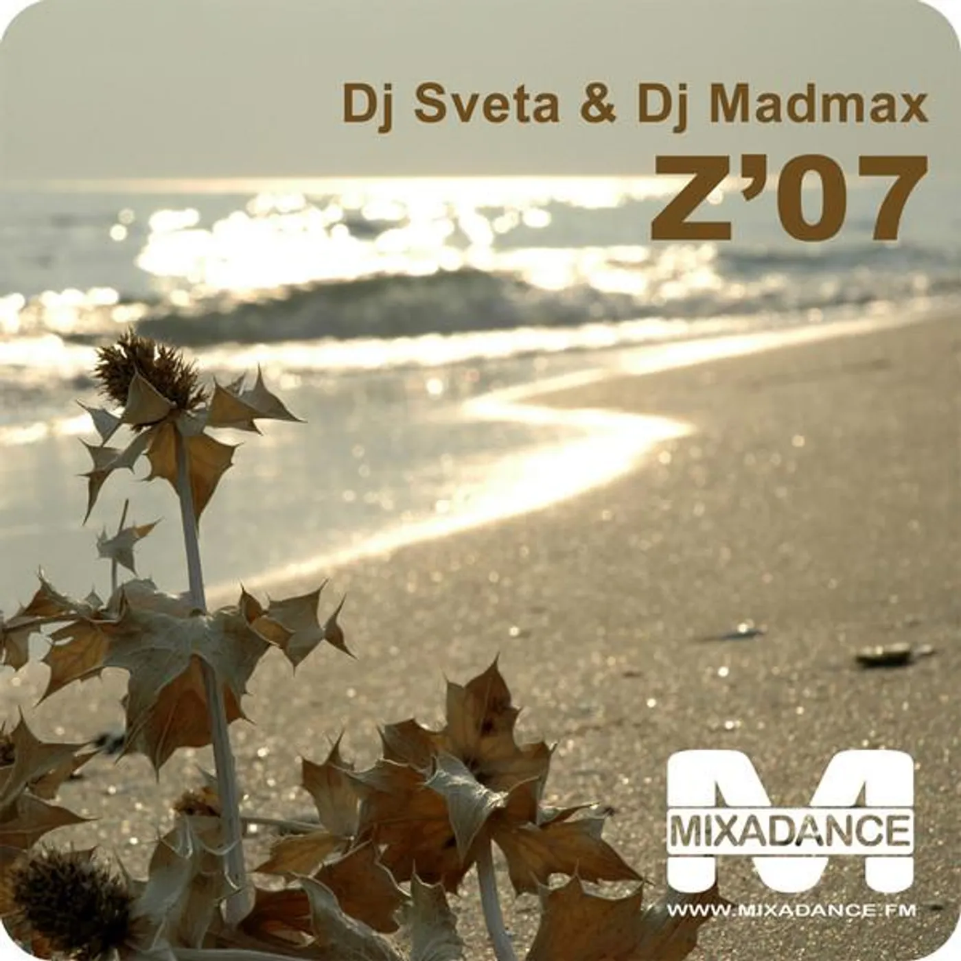 DJ Sveta Brand Page