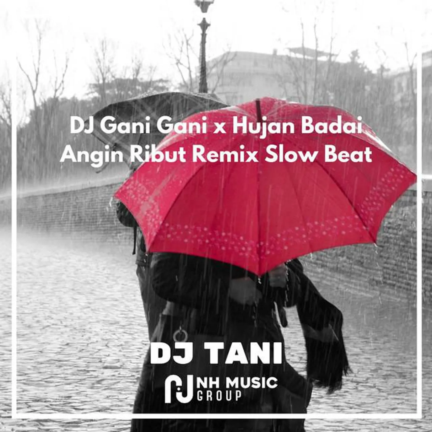 DJ TANI