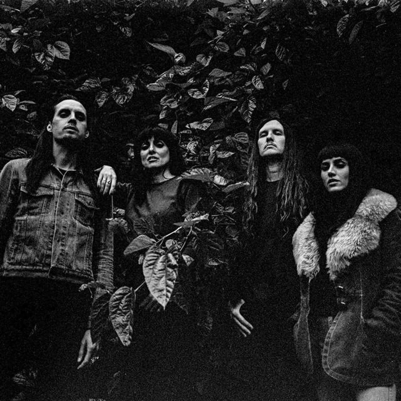 Drug Cult