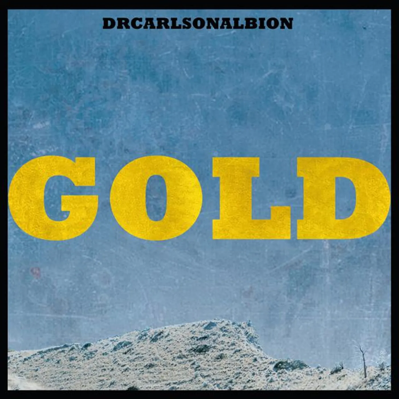 Drcarlsonalbion