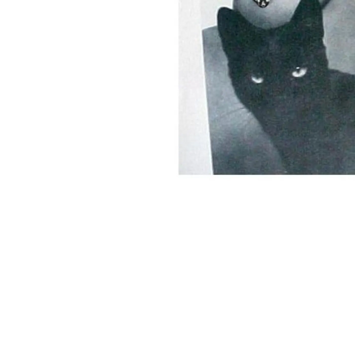 Dream Panther Brand Page