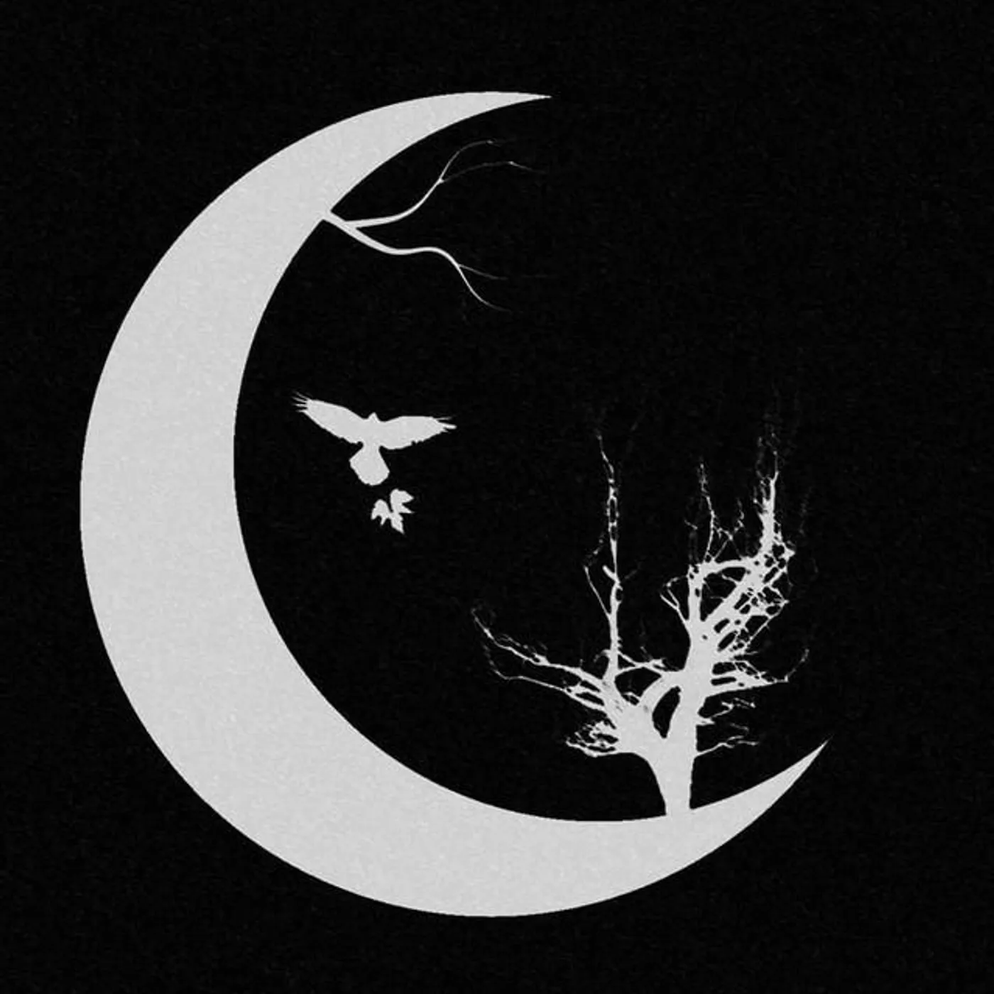 Dreams of Nature Brand Page