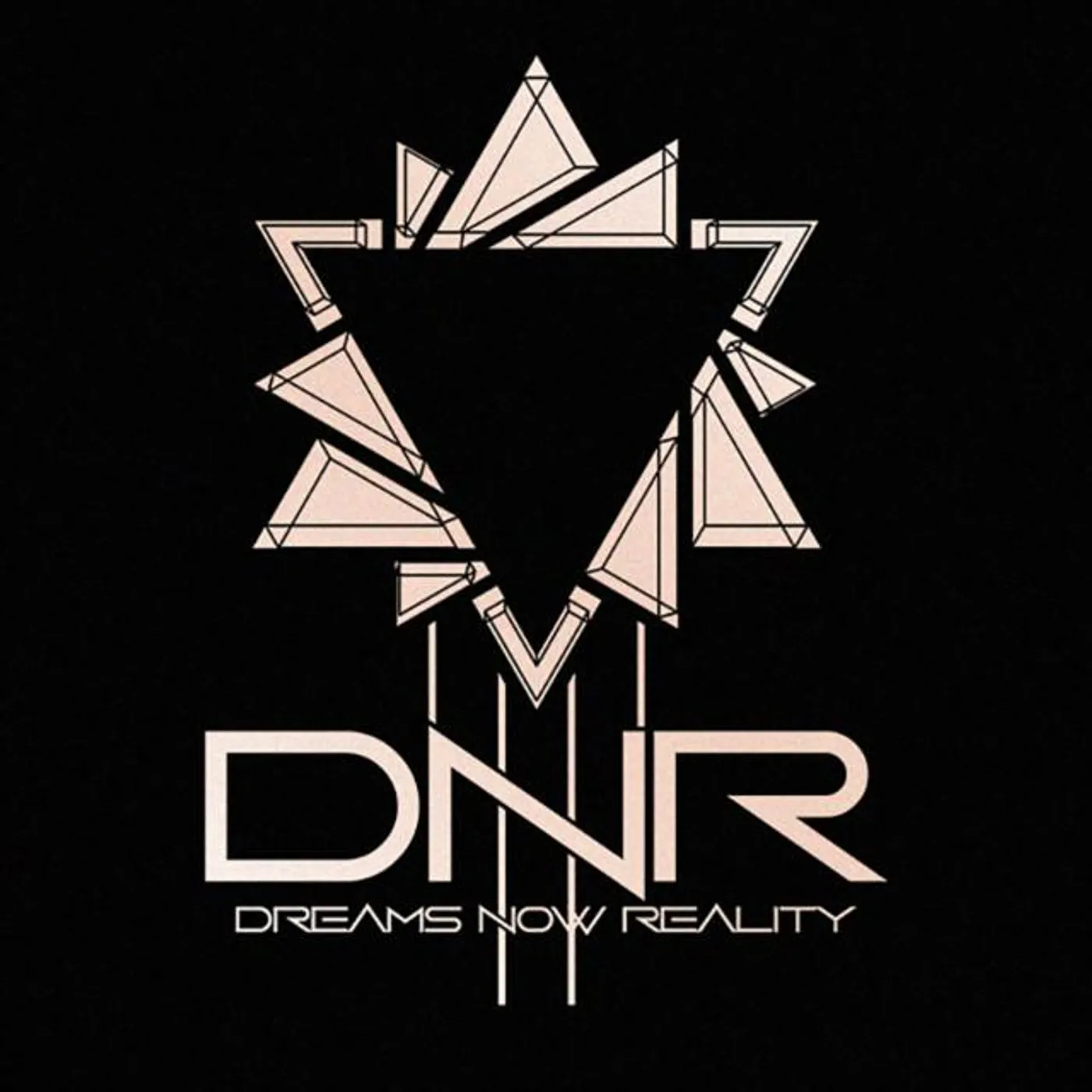 Dreamsnowreality Brand Page