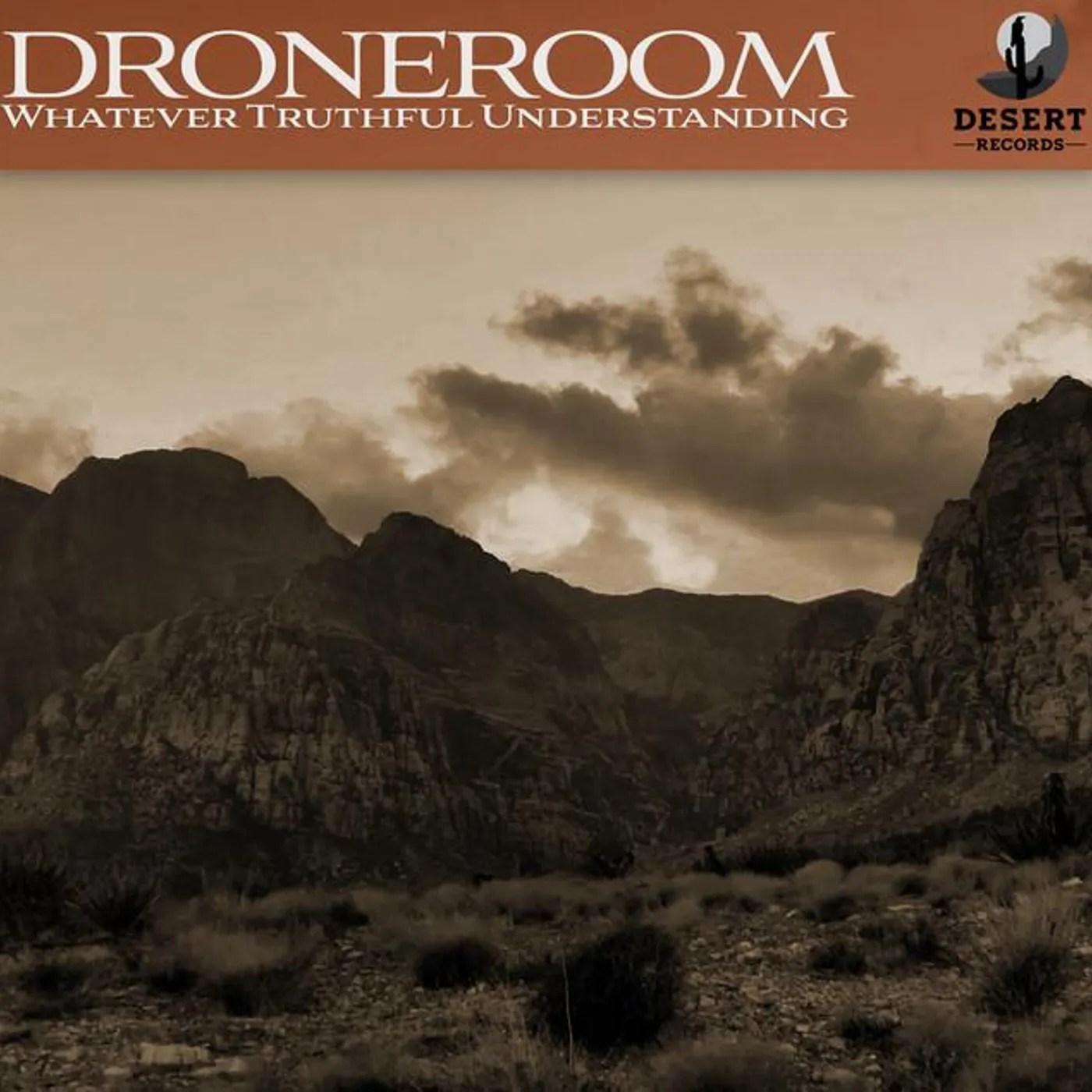 Droneroom