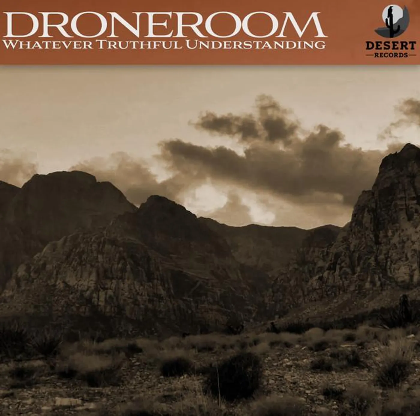 Droneroom