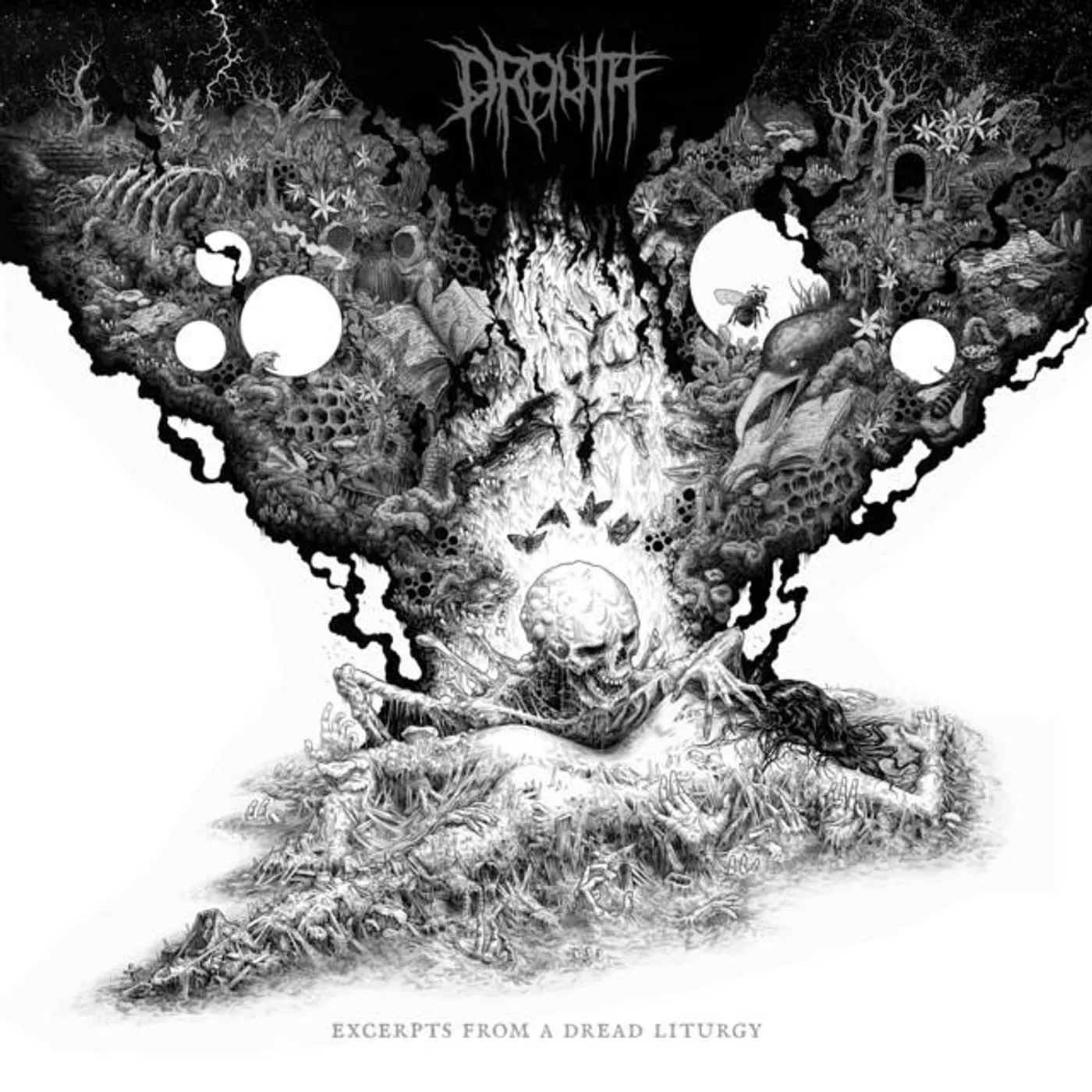 Drouth Brand Page