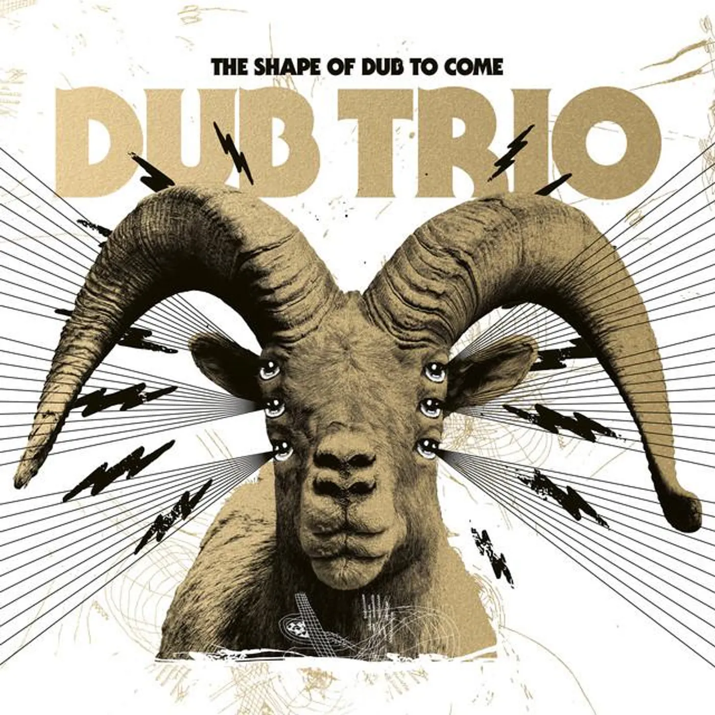 Dub Trio Brand Page