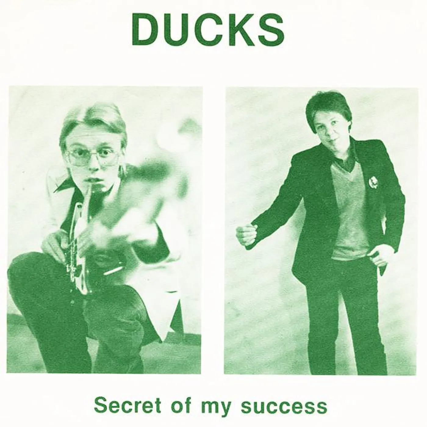 Ducks