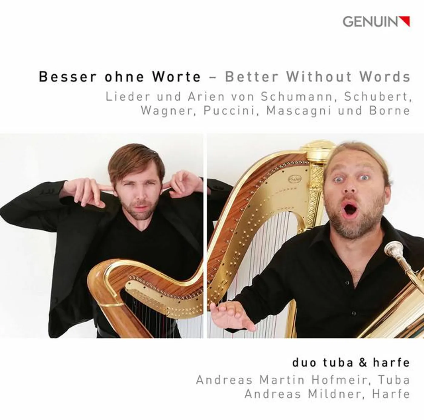 duo tuba & harfe