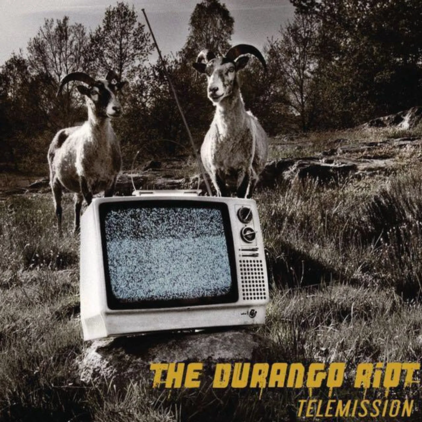 The Durango Riot Brand Page