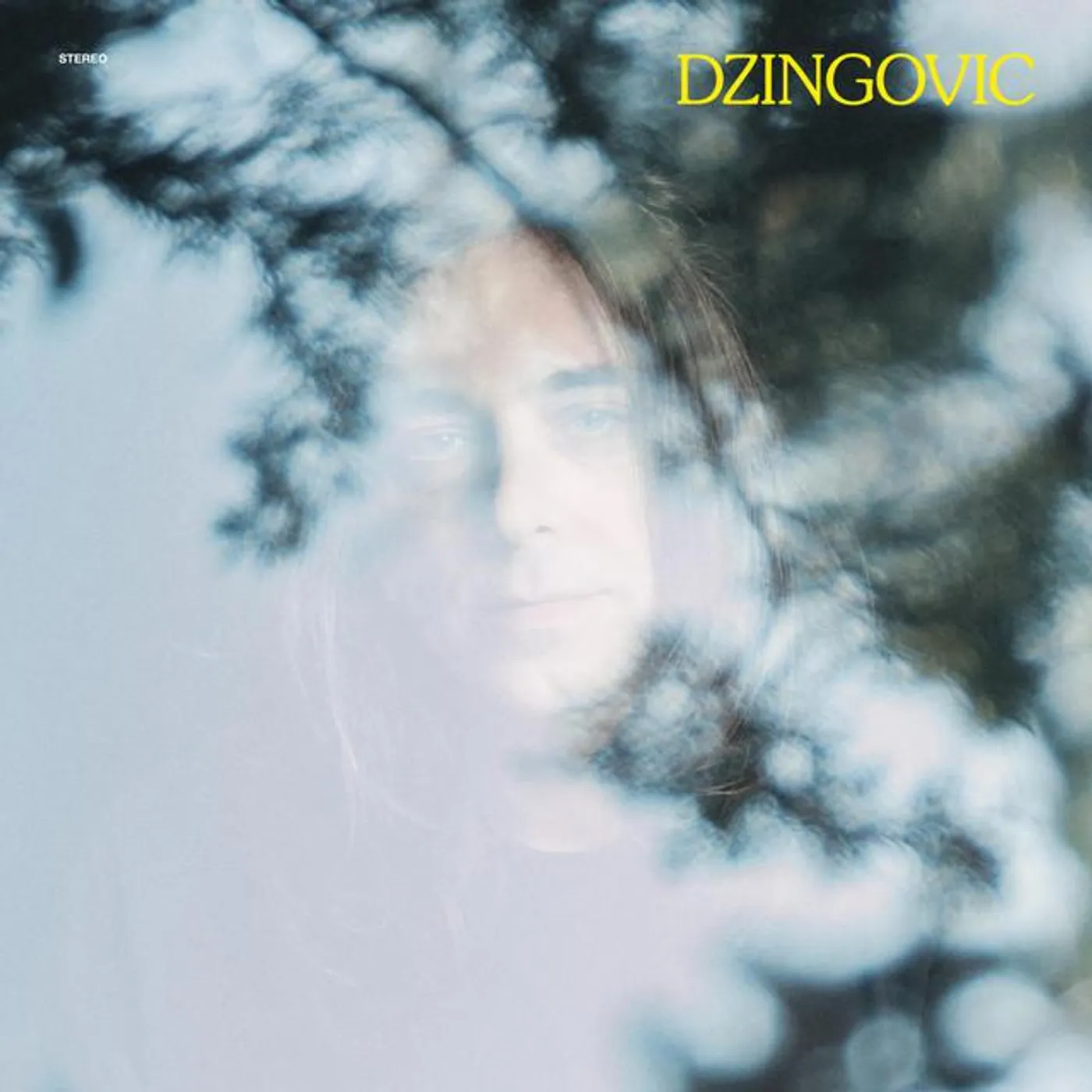 Dzingovic Brand Page