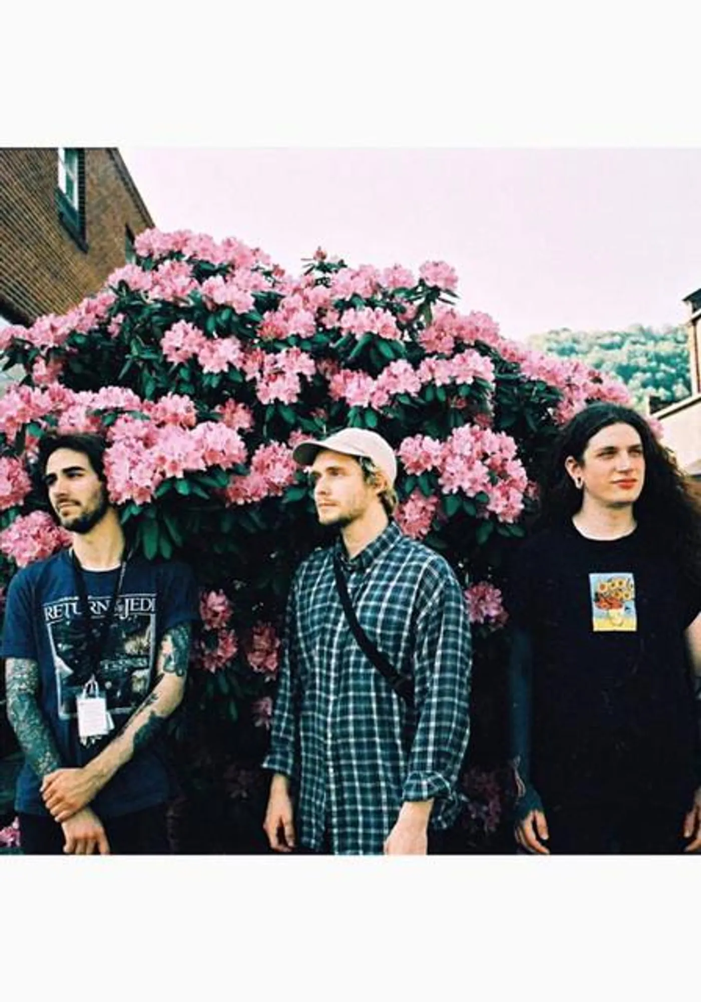 Embracer
