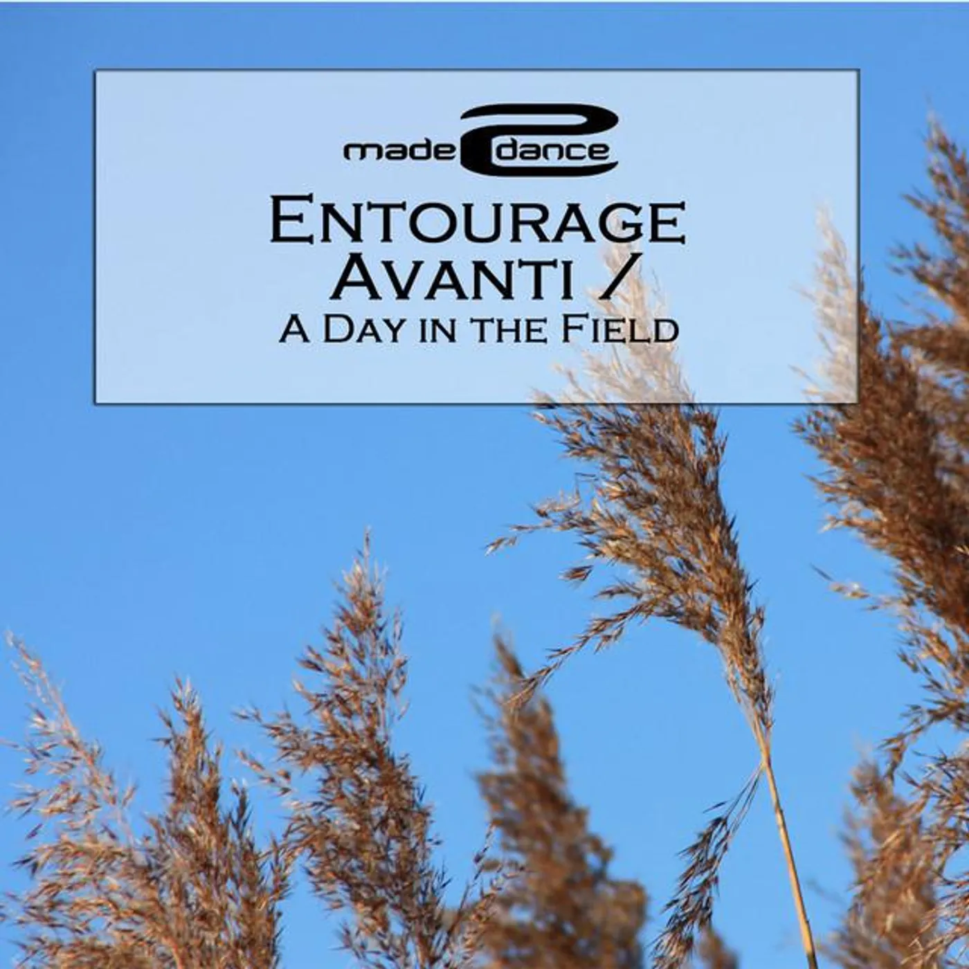 Entourage