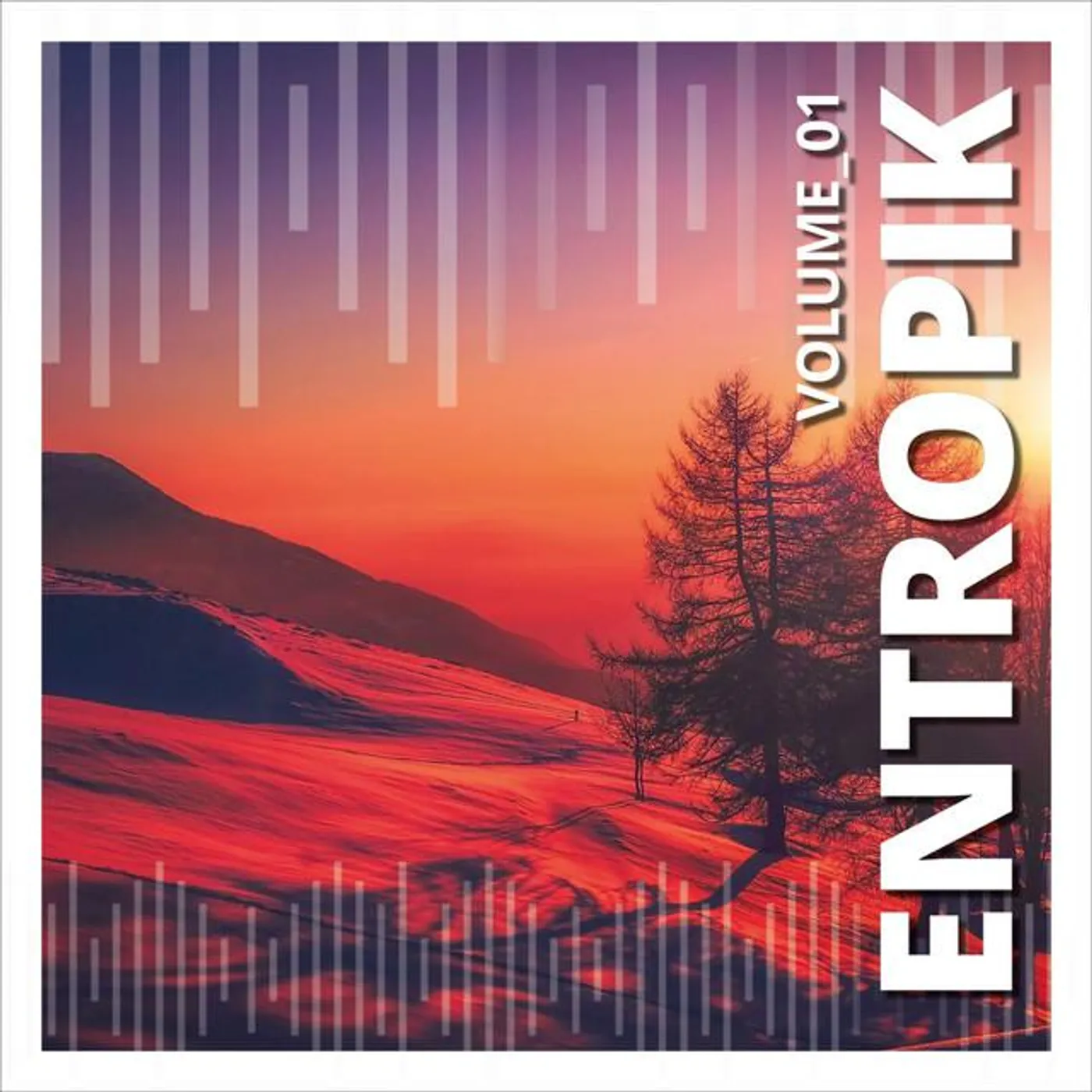Entropik