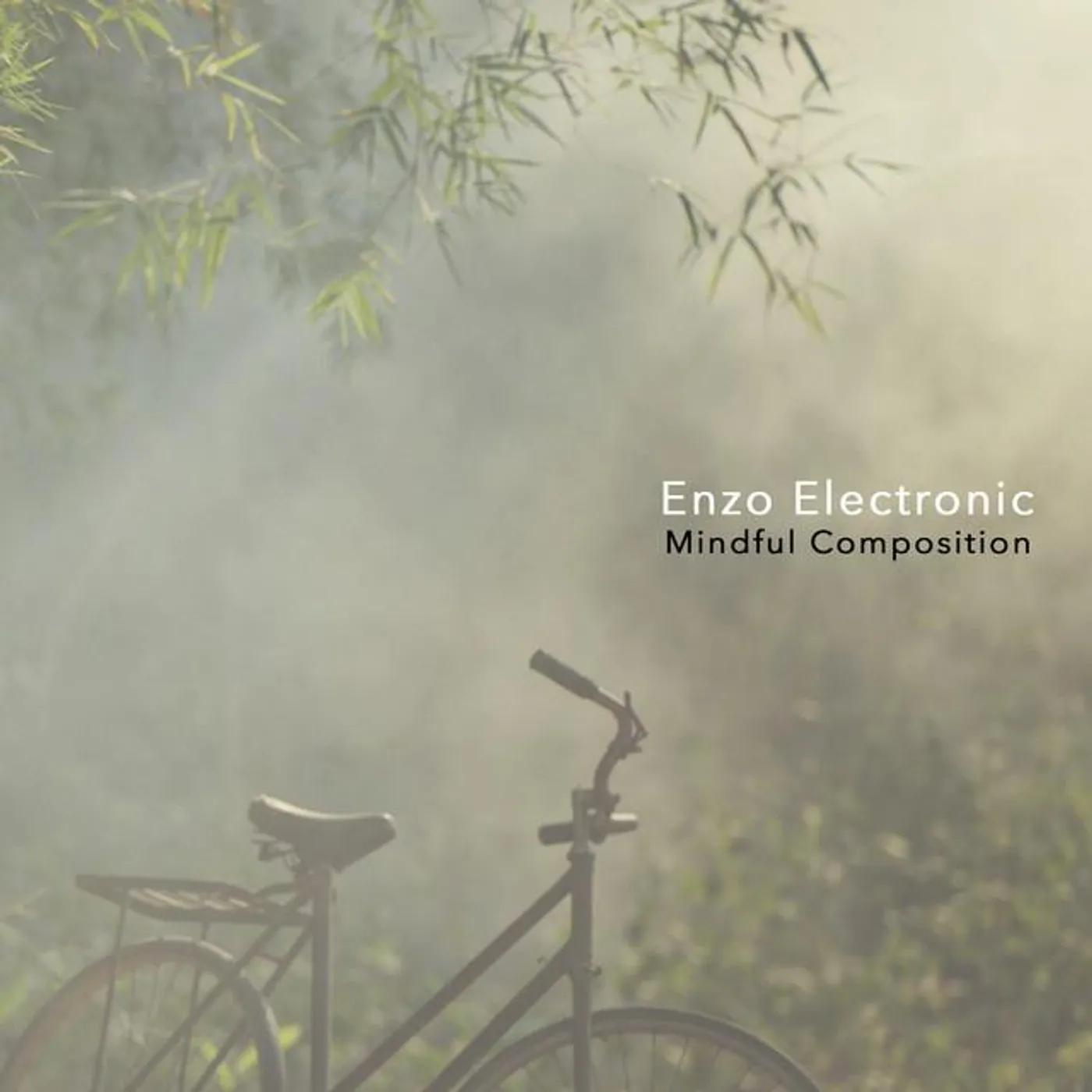 Enzo Electronic