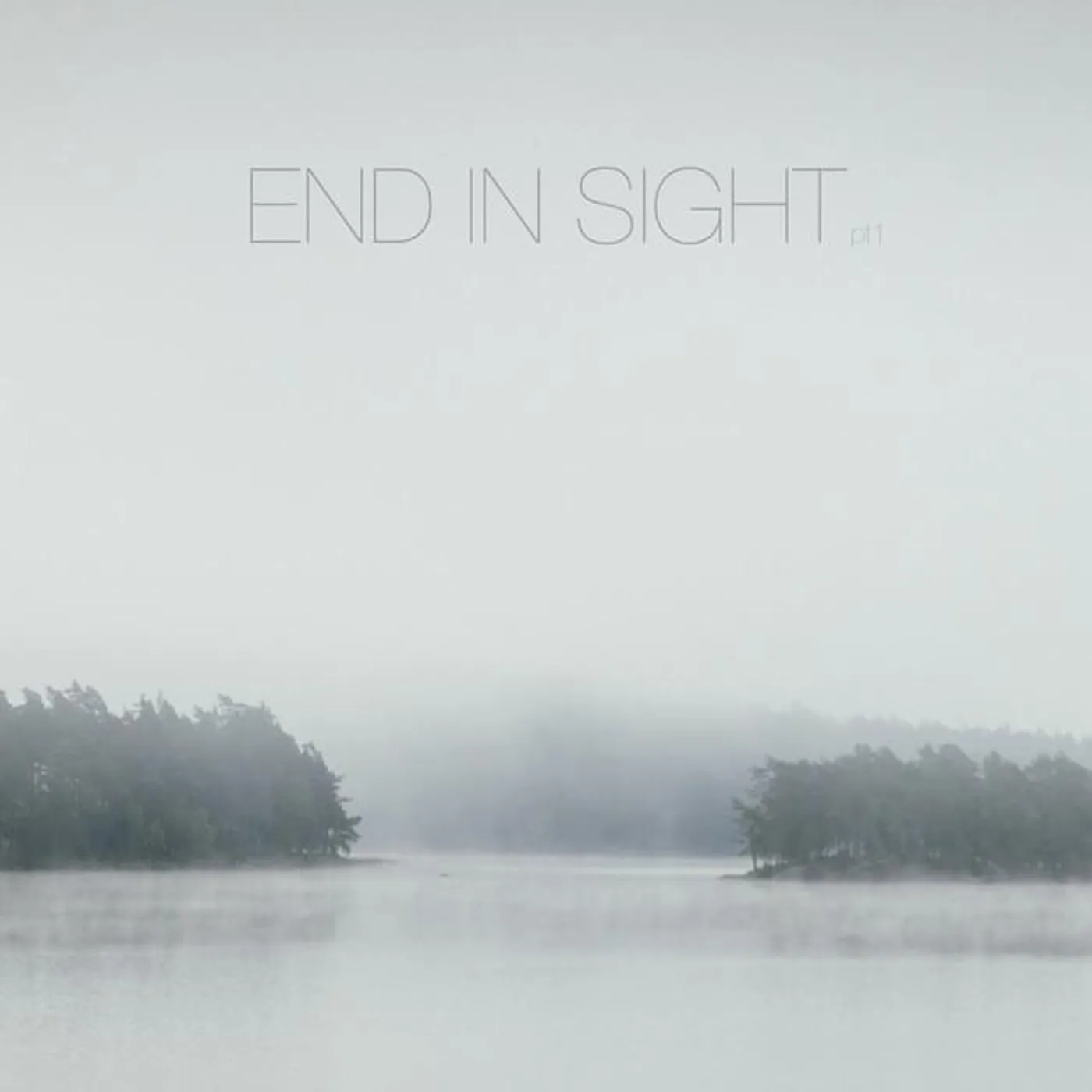 End In Sight