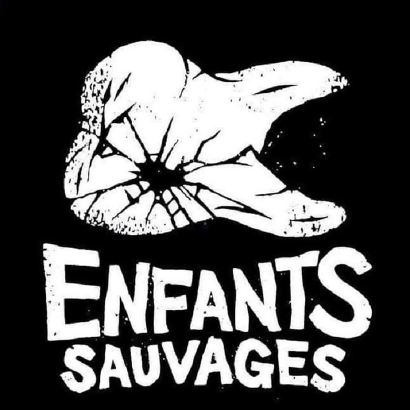 Enfants Sauvages