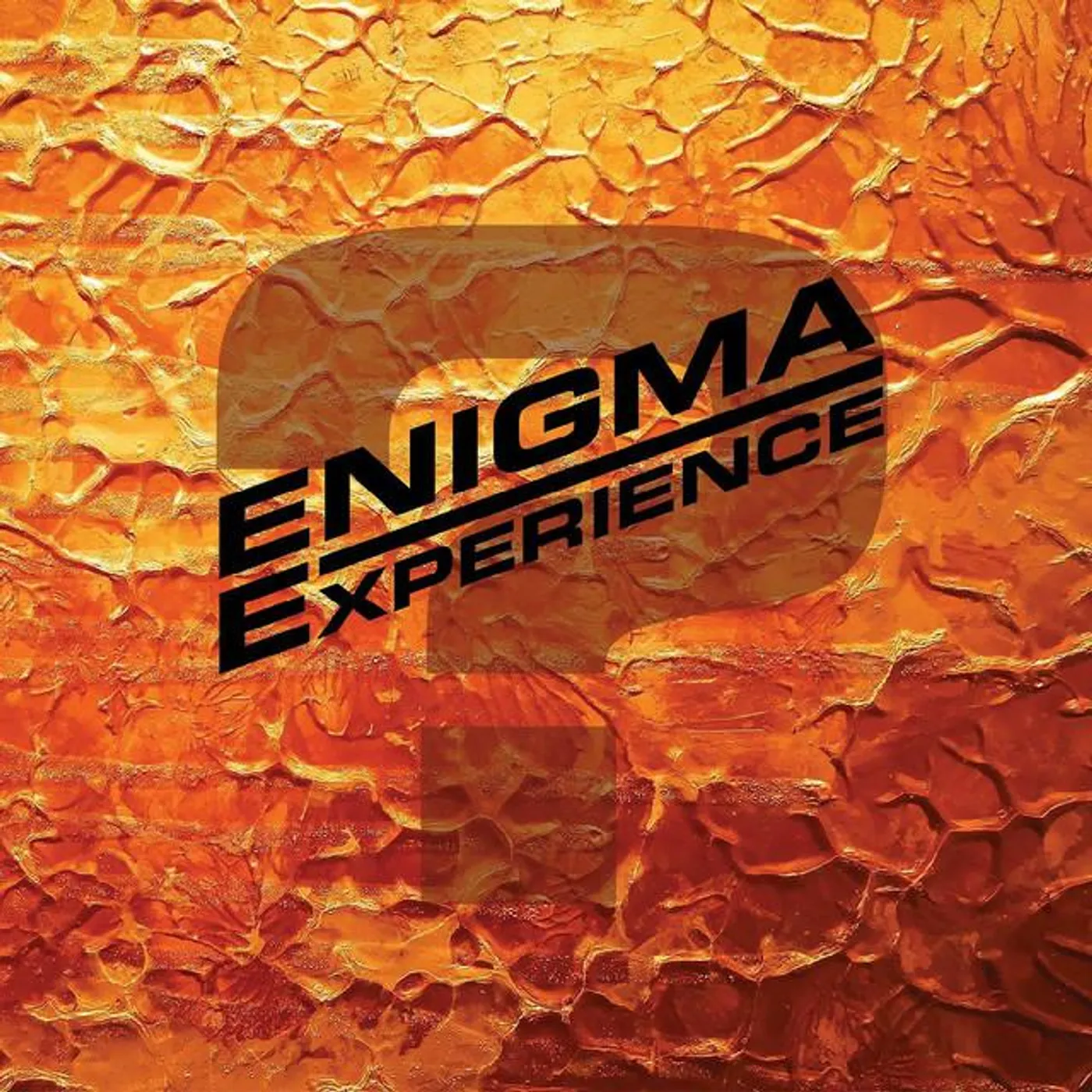 Enigma Experience Brand Page