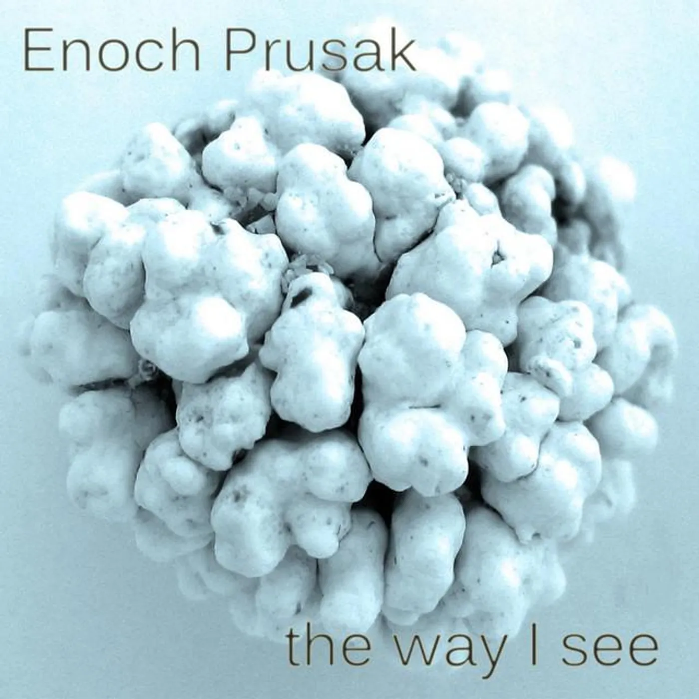 Enoch Prusak Brand Page