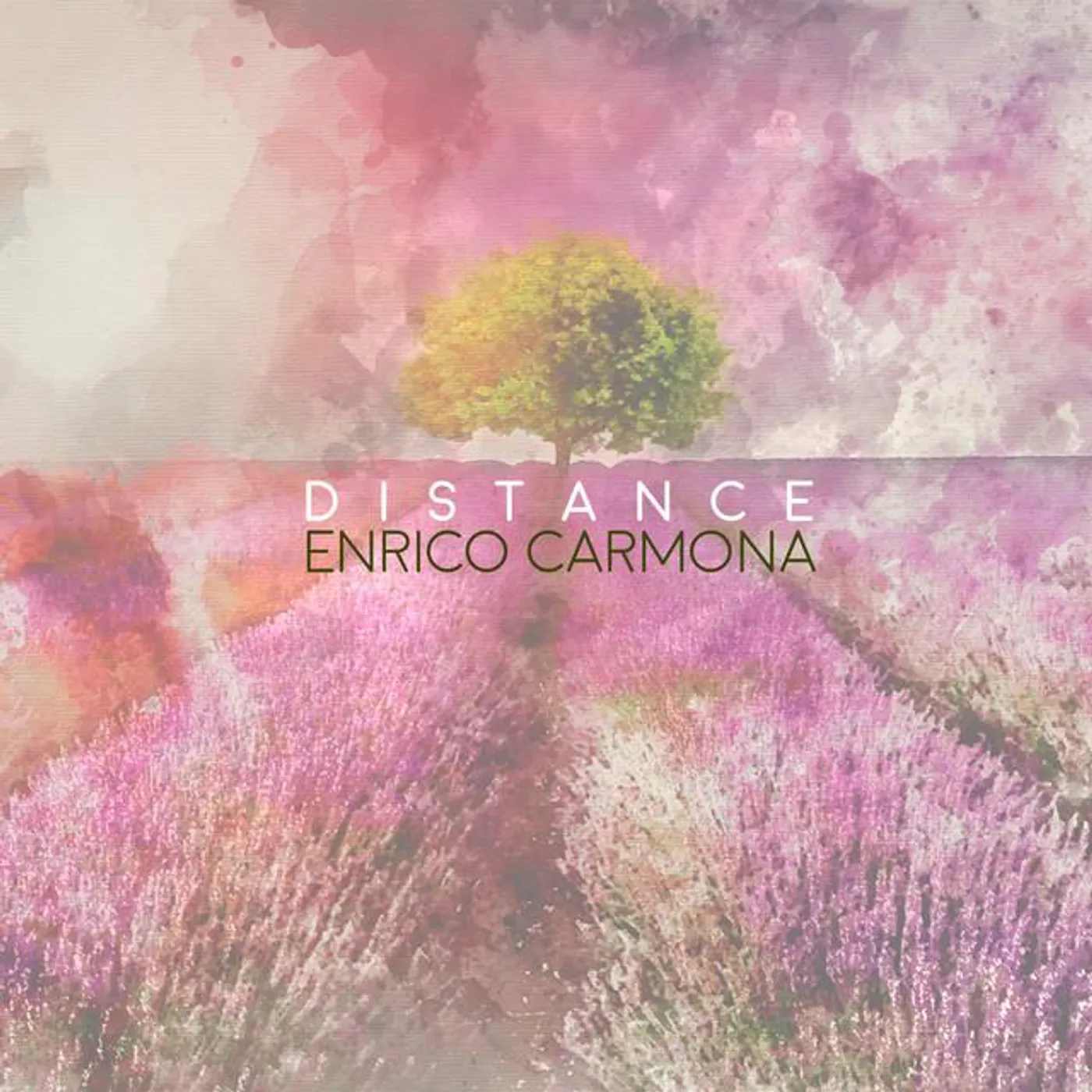 Enrico Brand Page