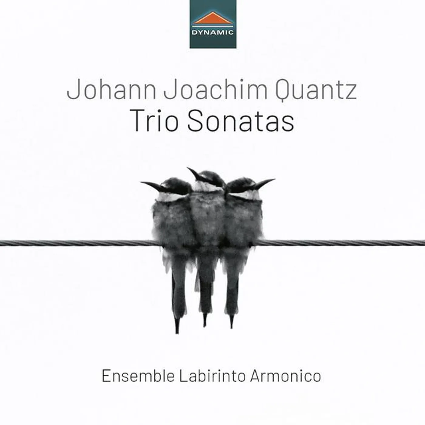Ensemble Labirinto Armonico Brand Page
