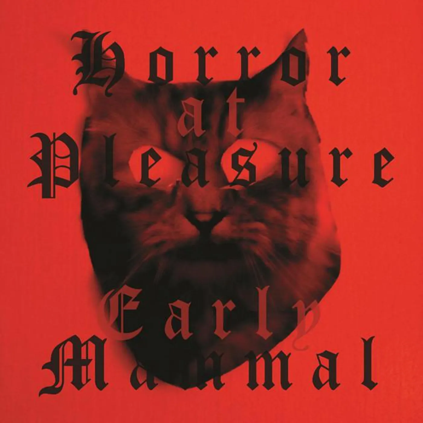 Early Mammal