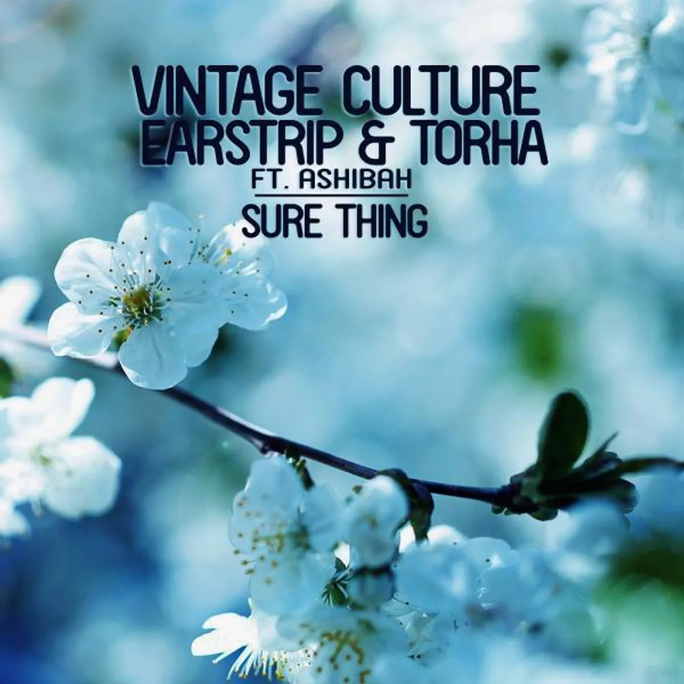 Earstrip & Torha
