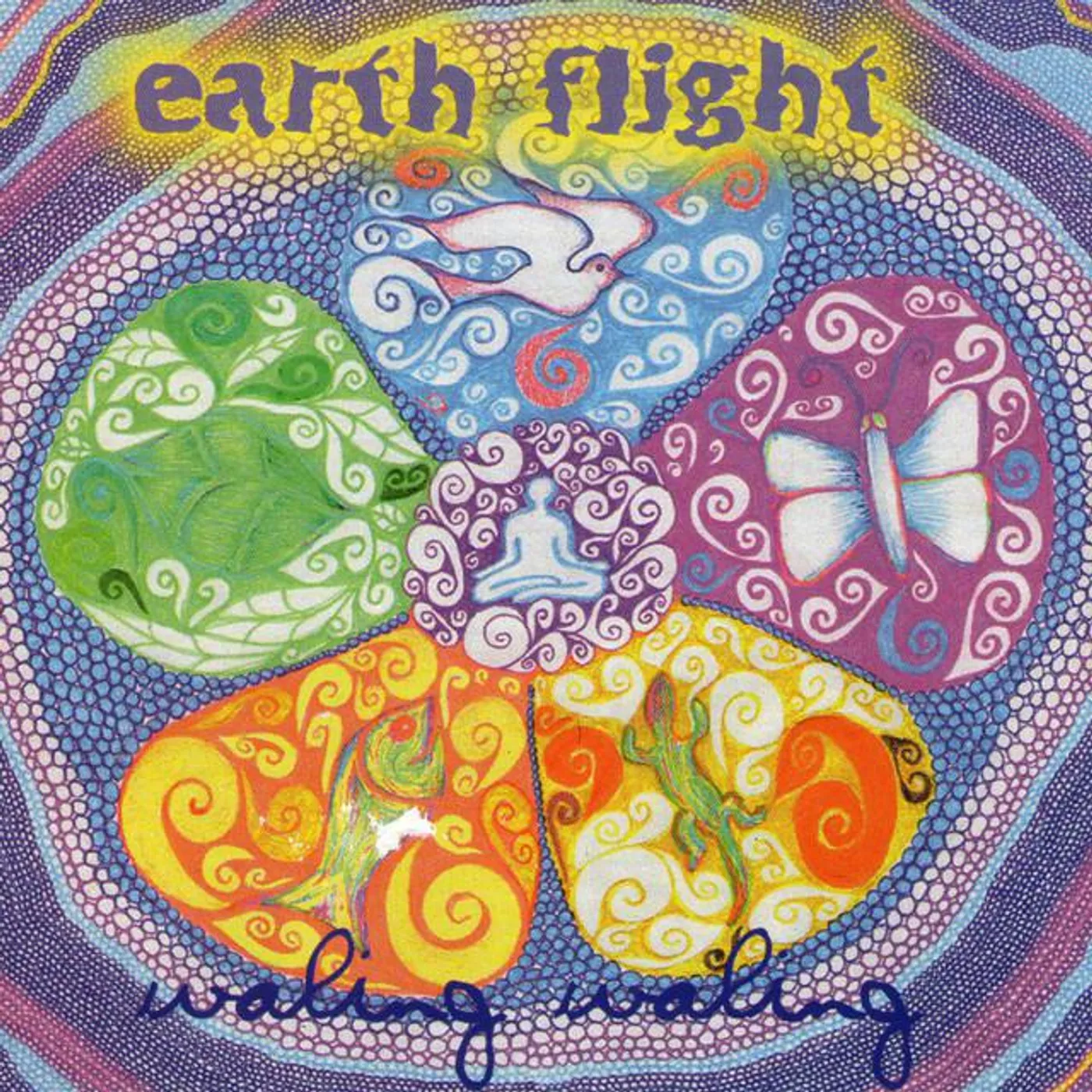 Earth Flight