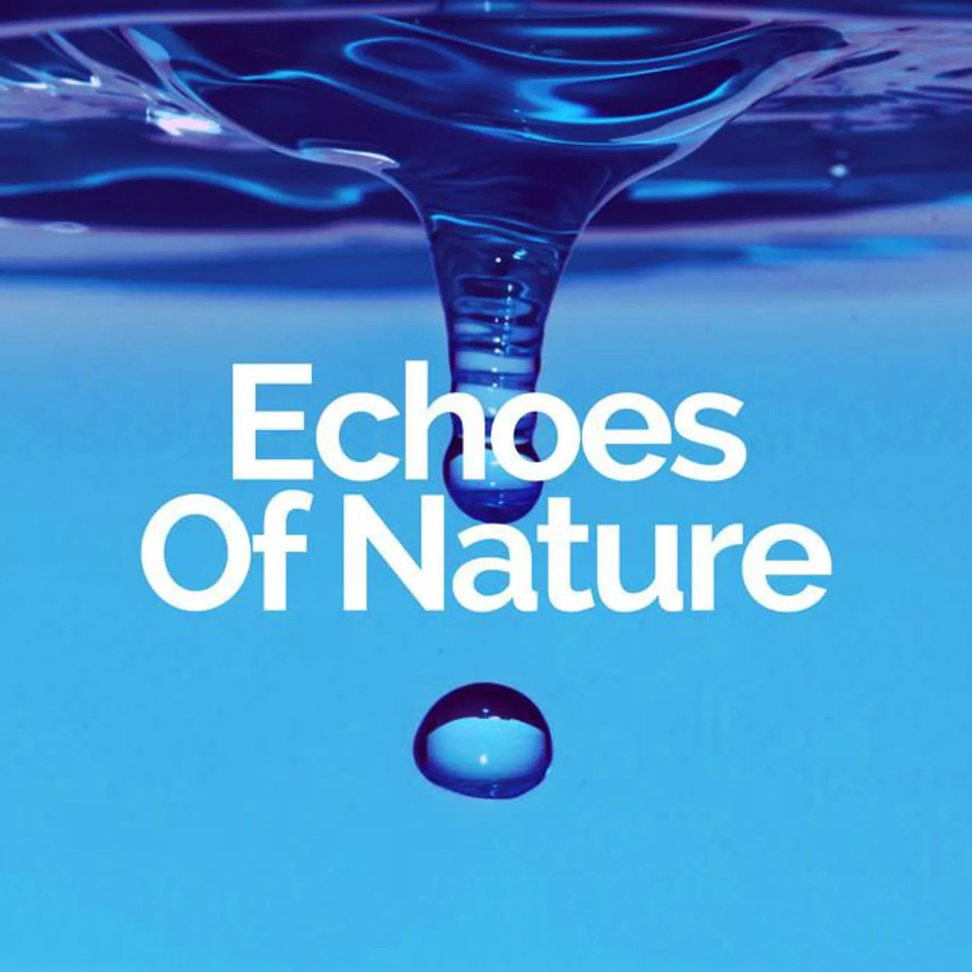 Echoes Of Nature