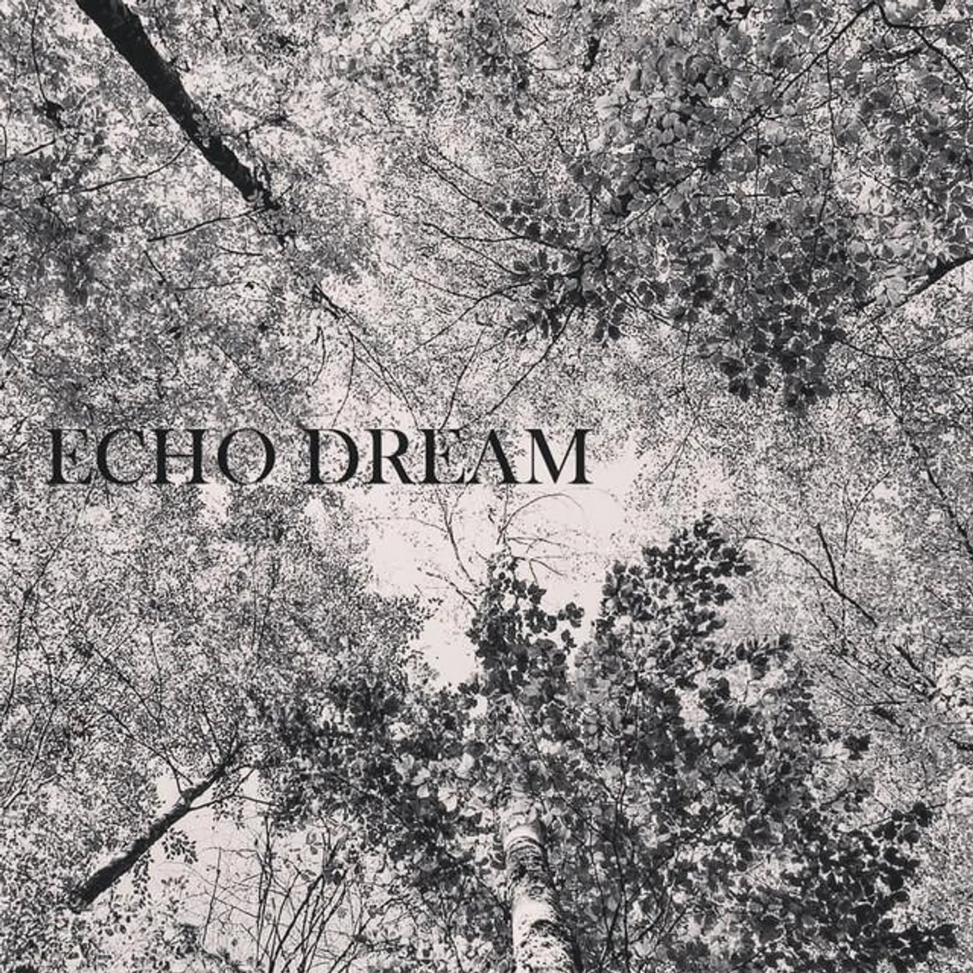 Echo Dream