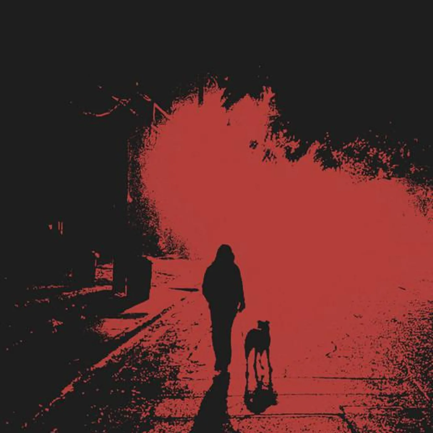 Echo