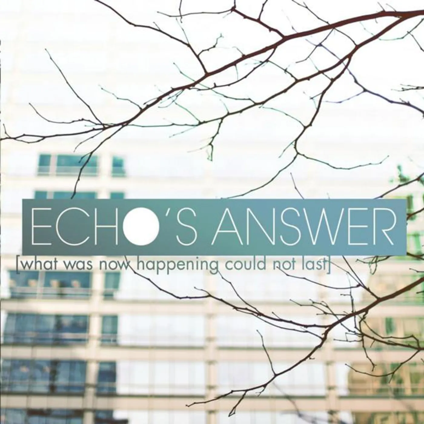 Echo's Answer