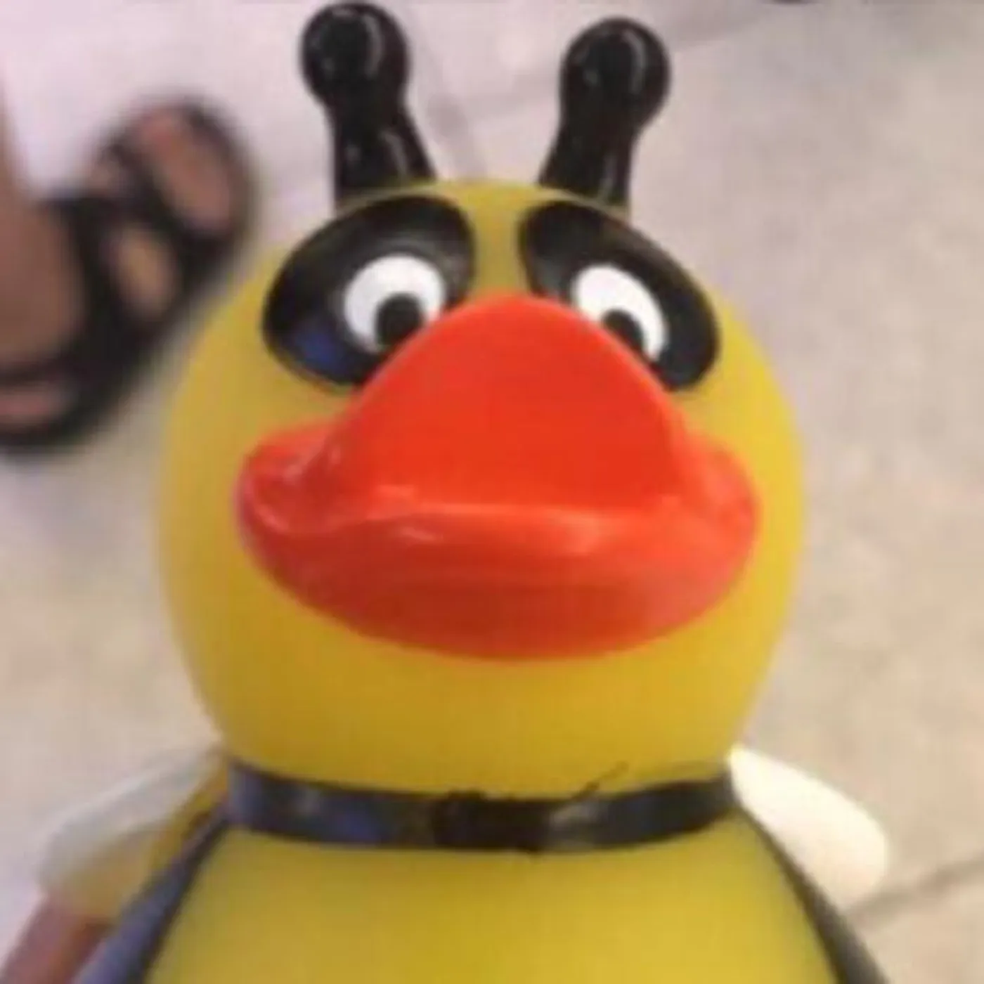 Edward Penis Hands