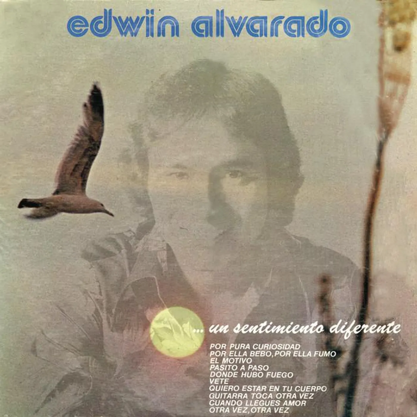 Edwin Alvarado