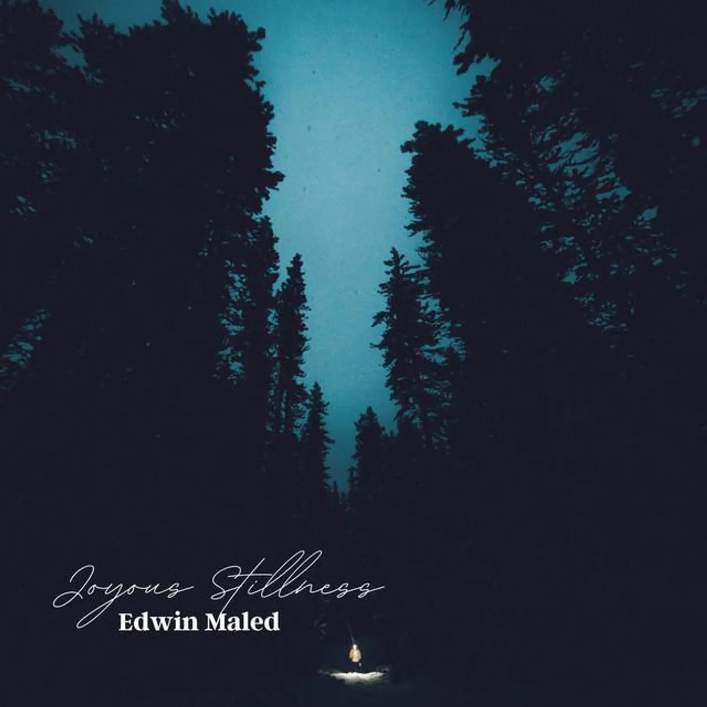 Edwin Maled