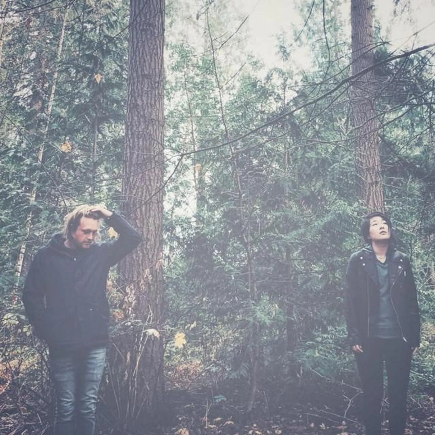 Eggshells Brand Page