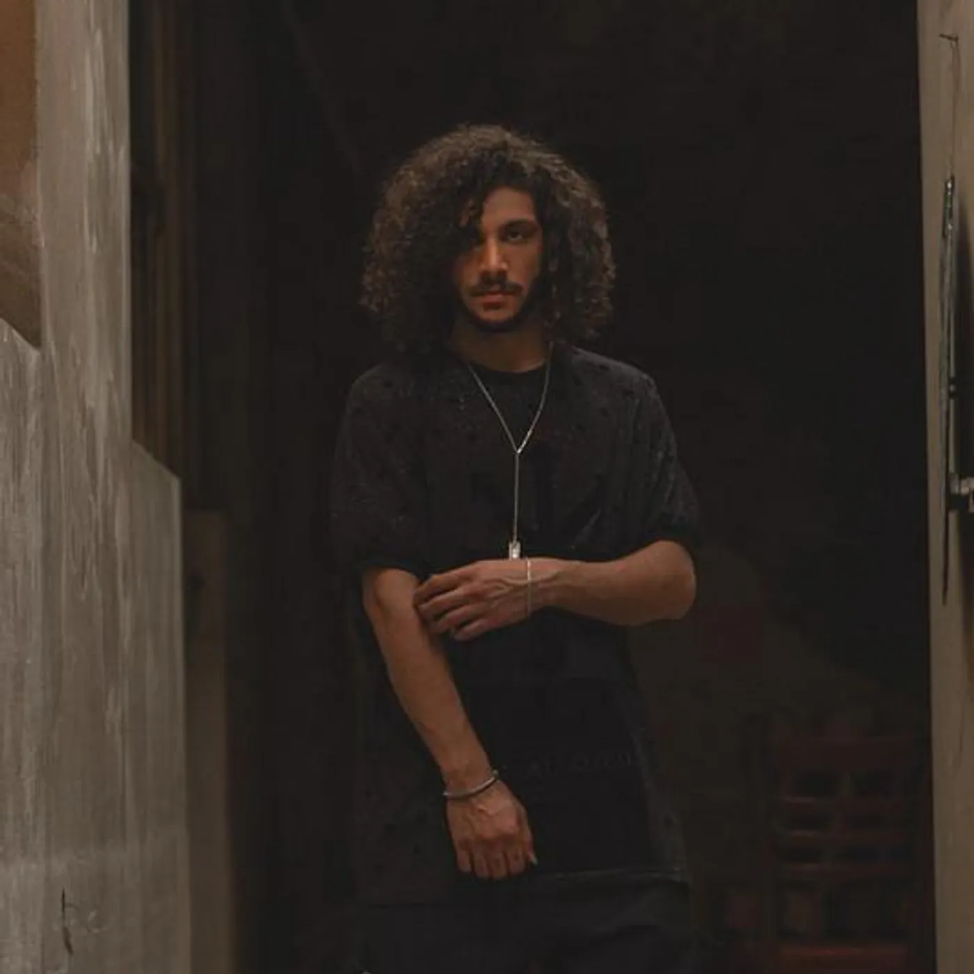 Ehsan Daryadel