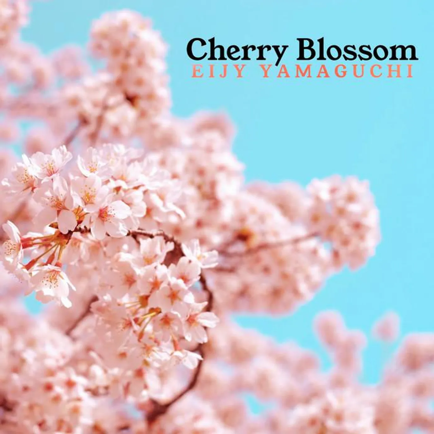 Eijy Yamaguchi