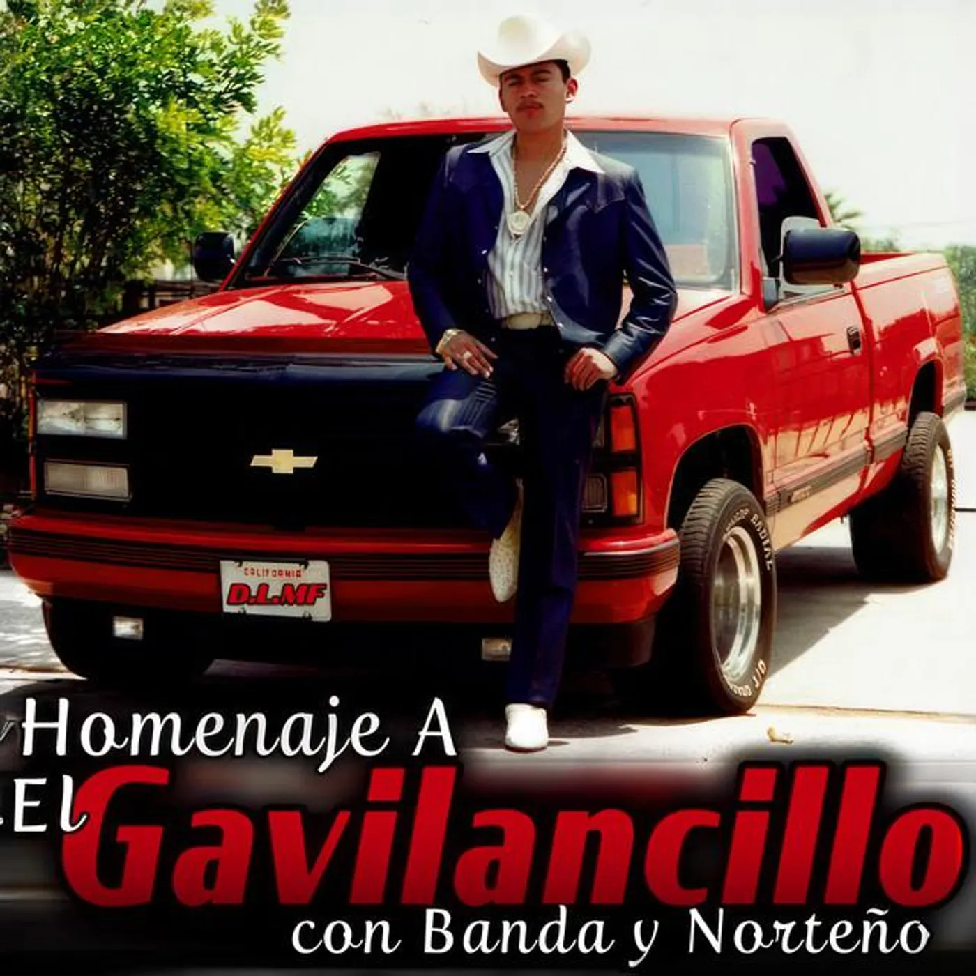 El Gavilancillo