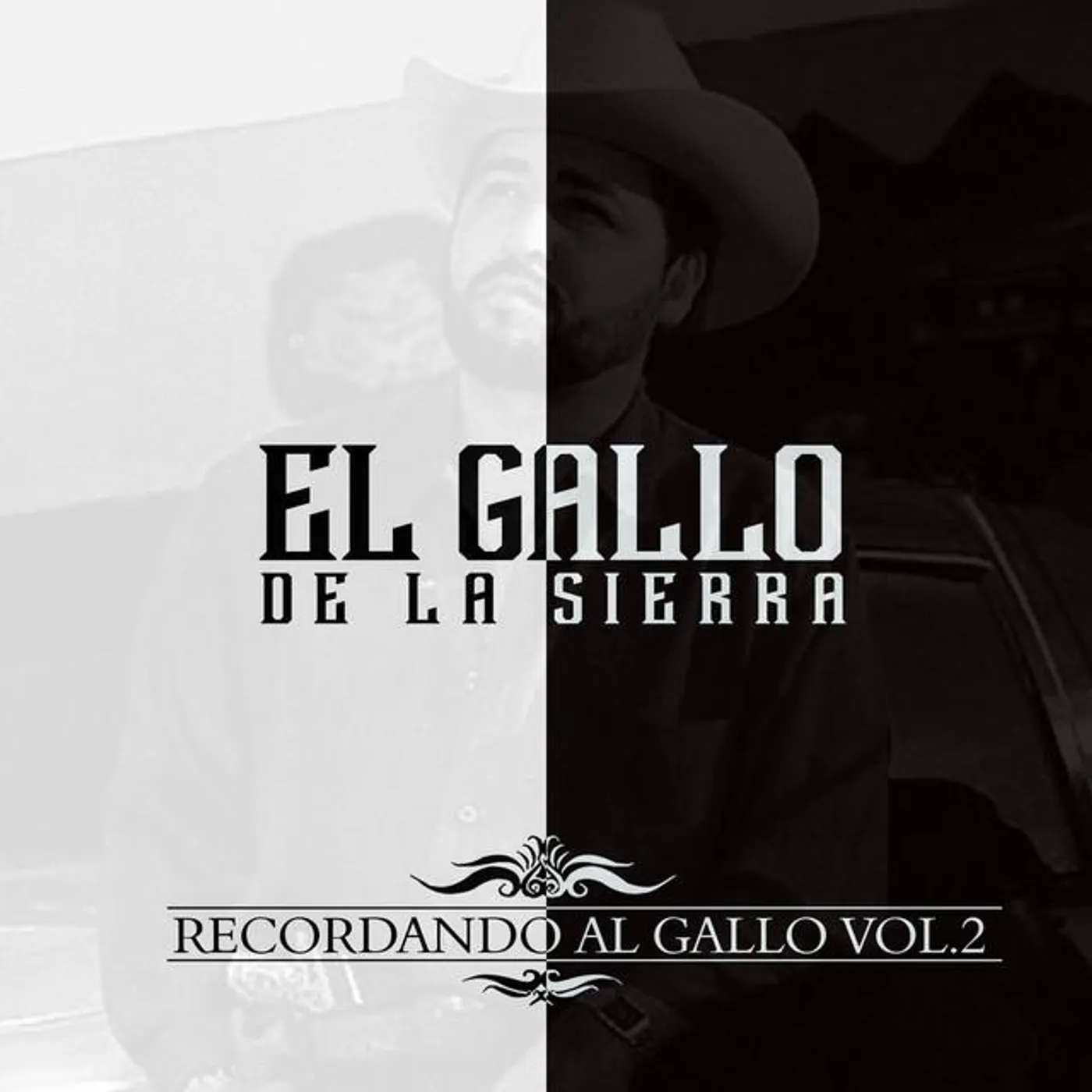 El Gallo De La Sierra