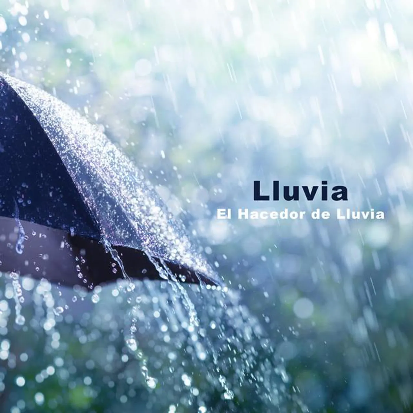 El Hacedor de Lluvia Brand Page
