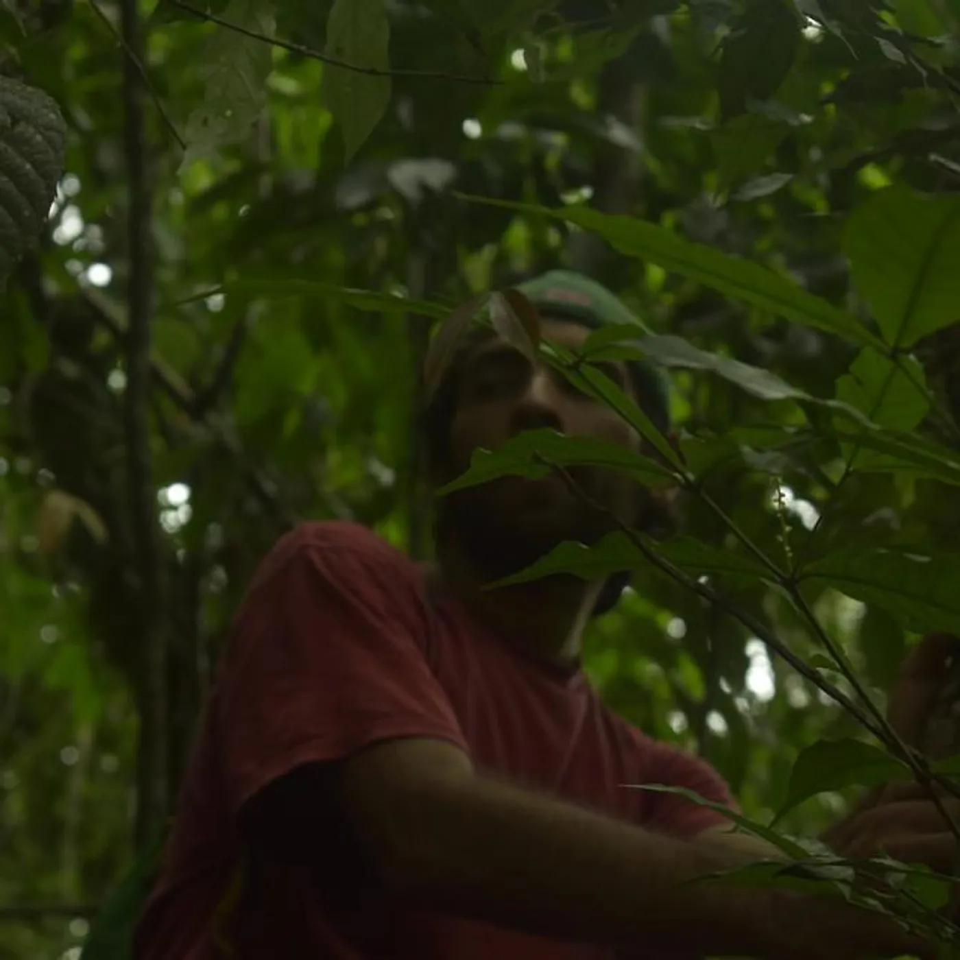 El Árbol Que Contiene Todos Los Tiempos