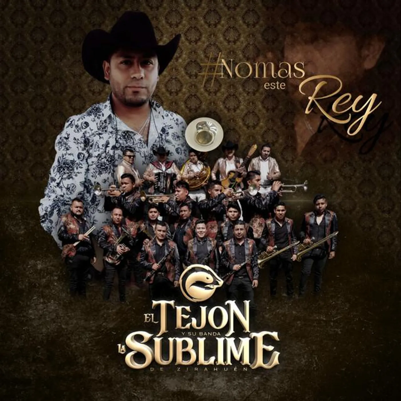 El Tejón y Su Banda La Sublime De Zirahuén
