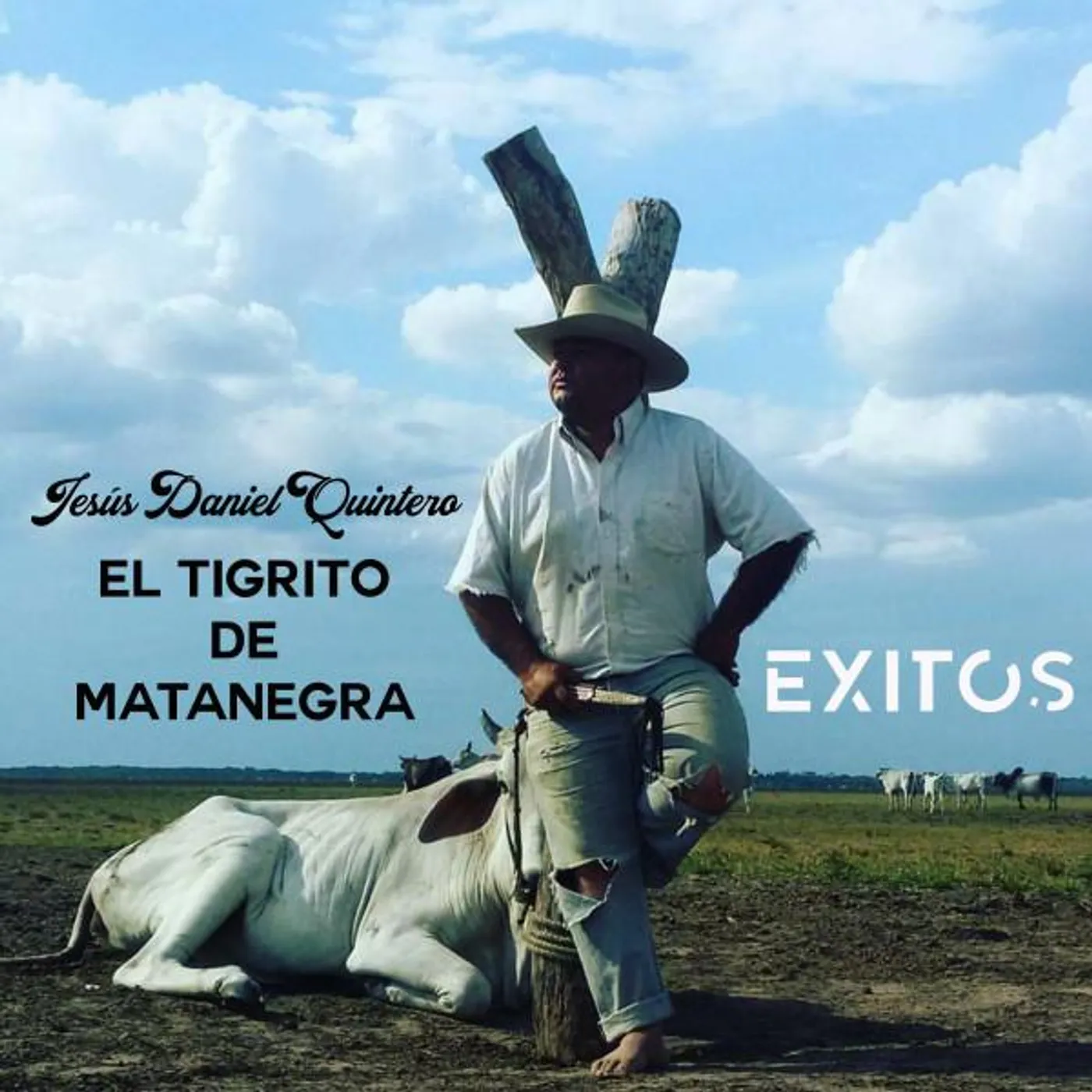 El Tigrito De Matanegra