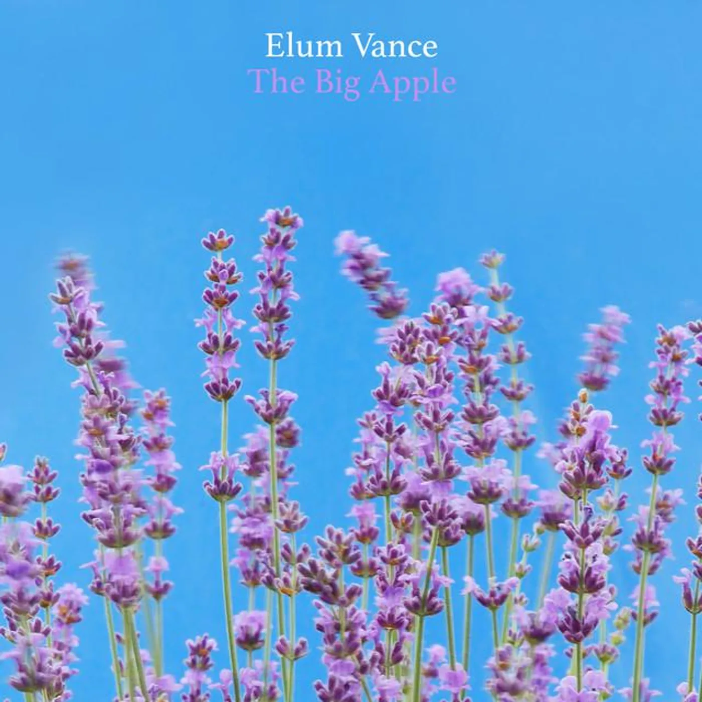 Elum Vance