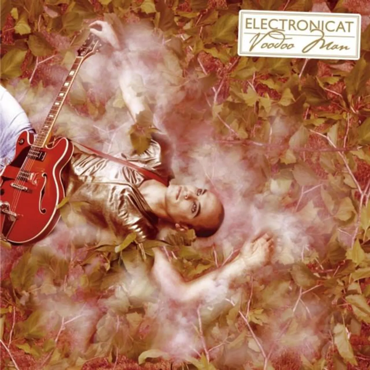 Electronicat Brand Page