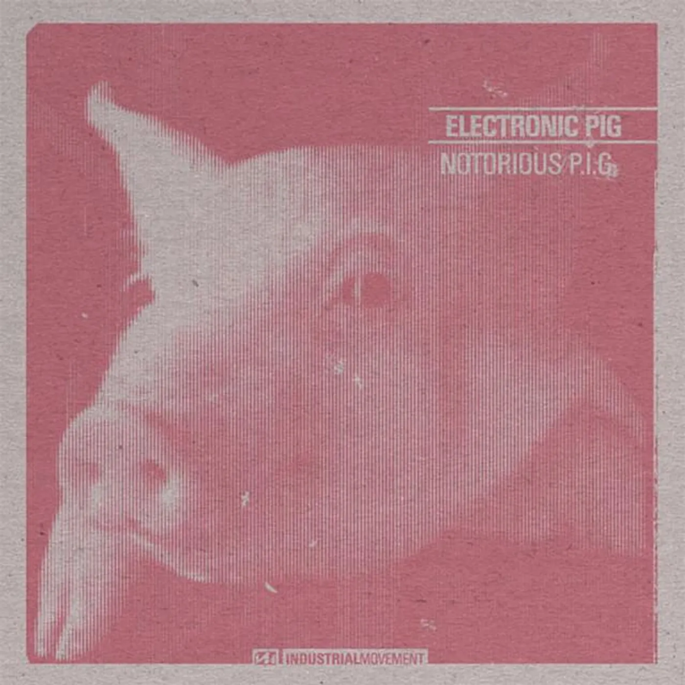 Electronic Pig