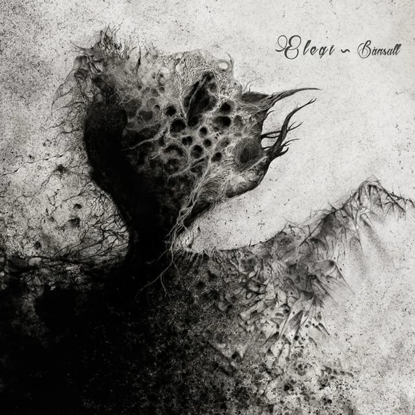 Elegi Brand Page