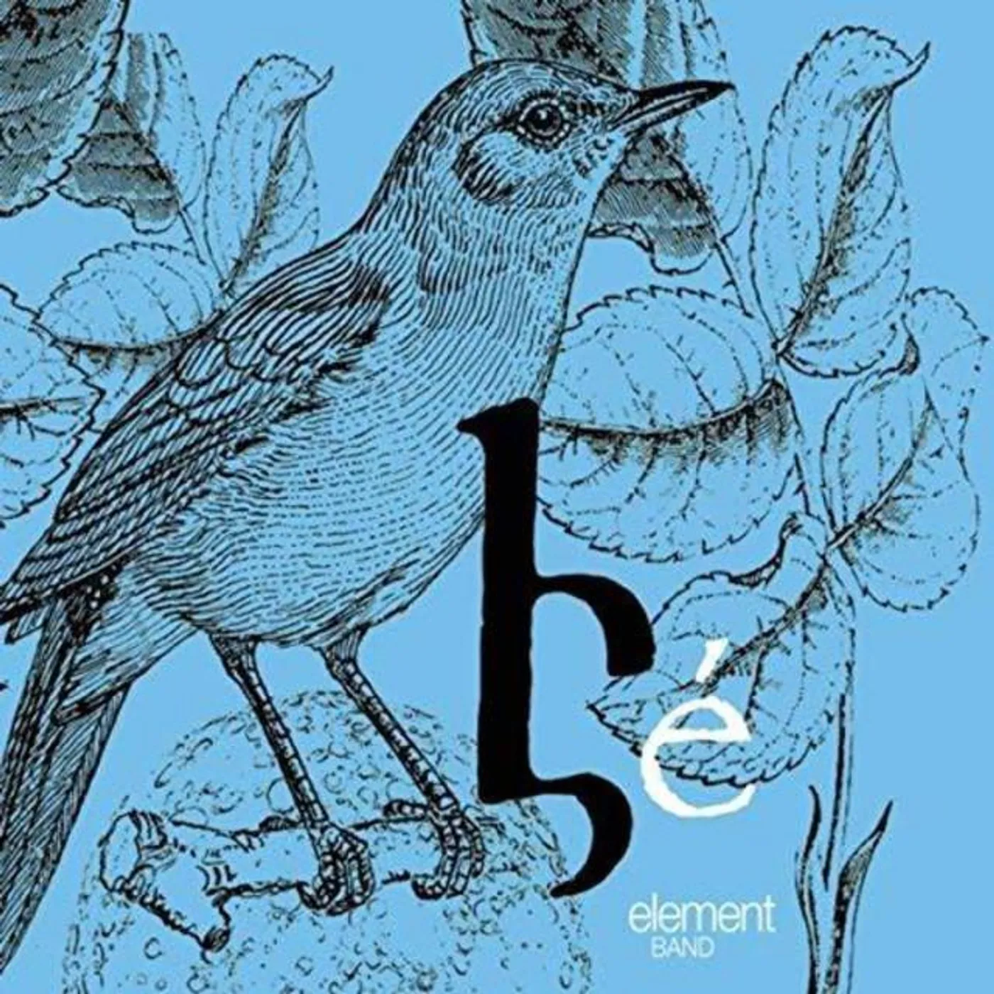 Element Band Brand Page