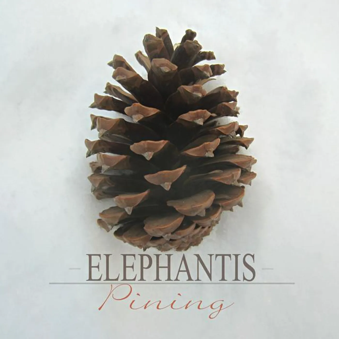 Elephantis Brand Page